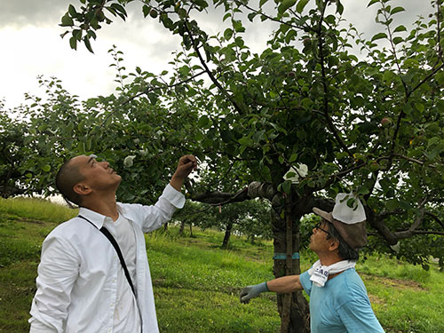 雨宮庸介による青森のりんご栽培取材時の様子（2018）