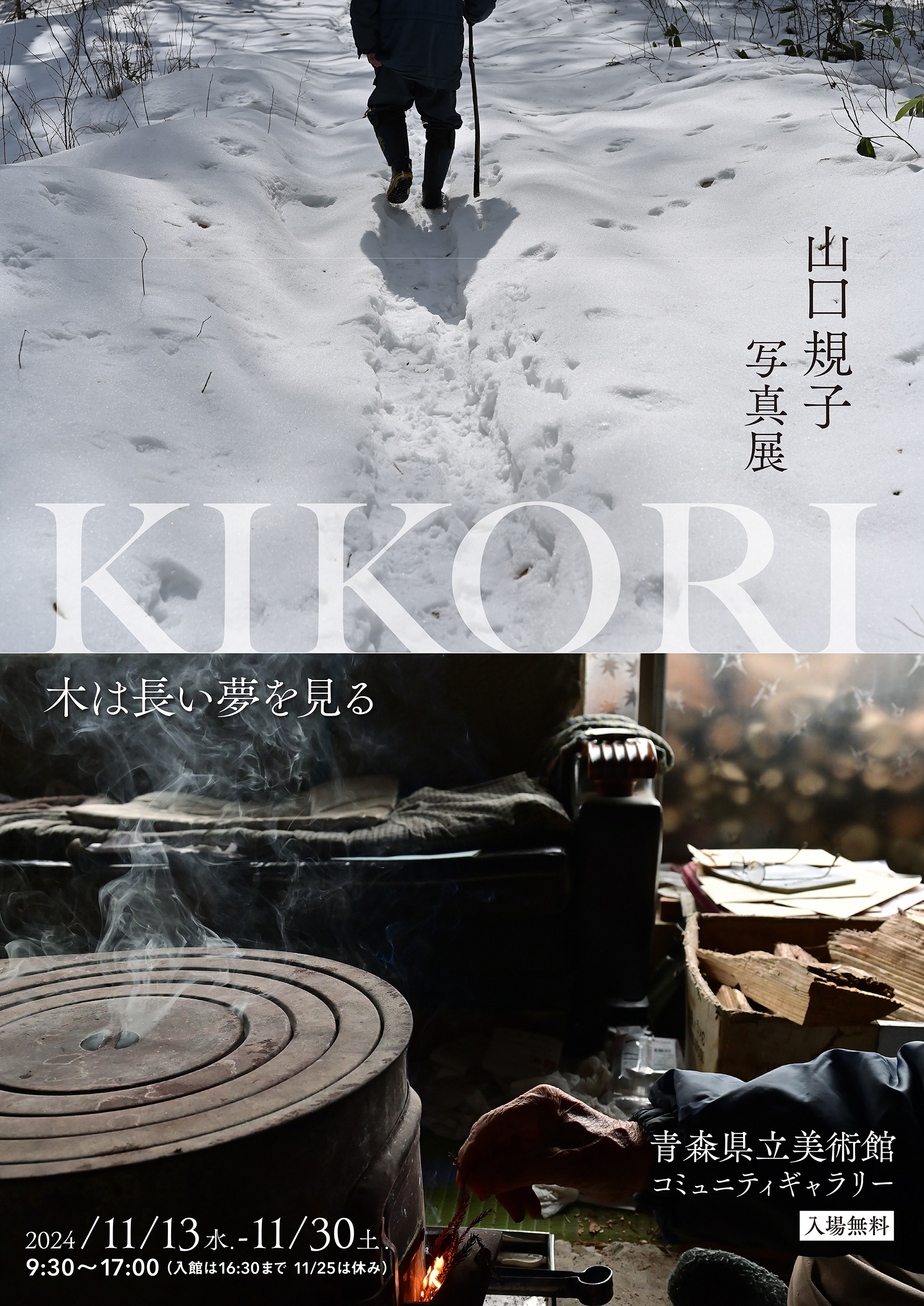 【一般開催】山口規子写真展「KIKORI　木は長い夢を見る」（主催：写真家　山口規子）